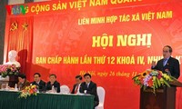 New-style cooperatives, the key to Vietnam’s agricultural restructuring