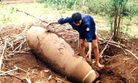 Vietnam strengthens support for bomb and mine victims