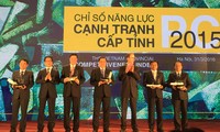 Provincial authorities contribute to Dong Thap’s improved PCI in 2015