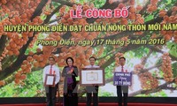 Phong Dien district builds new rural area