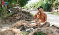 Mekong Delta farmers adapt to no-flood season