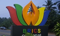 8th BRICS summit opens in India
