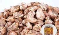 Binh Phuoc develops local cashew nut brand 