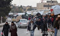 Nationwide ceasefire in Syria takes effect