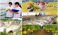 Vietnam’s agriculture identifies challenges for development in 2017