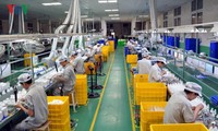 Vietnam’s efforts to realize the target of 1 million efficient businesses by 2020