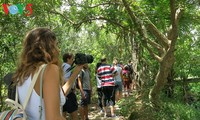 Thoi Son residents do eco-tourism