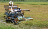 Sustainable agriculture development in ASEAN integration