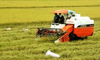 Vietnam applies high-tech in agriculture production 