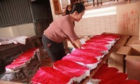 Quy Chau village boasts frankincense making tradition