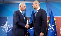 Biden to meet NATO chief for talks: White House