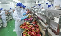 Fruit and vegetable exports likely to set new records