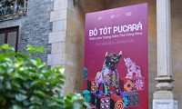 Hanoi exhibition spotlights Peru’s bull art 