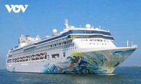 Cruise ship brings 1,800 international tourists to Da Nang