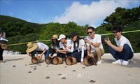 Fund-raising campaign launched to conserve Con Dao sea turtles