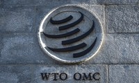 WTO chief calls for strong reforms to energize world trade body