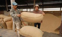 在德国推介越南农产品