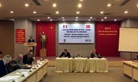 加强越南-罗马尼亚企业家合作