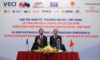 欧盟企业积极评价越南营商环境