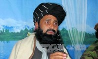 塔利班组织高级指挥官在阿富汗被击杀