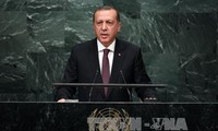 土耳其称愿有条件与美国合作打击“伊斯兰国”