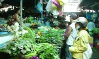 越南林同省大叻市青菜价格猛涨