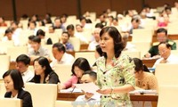 越南国会讨论《规划法（草案）》