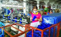 Consolider les liens entre les entreprises vietnamiennes et les IDE
