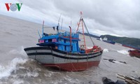 Réparation des dégâts provoqués par le typhon Talas