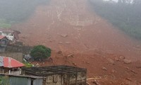 Inondations au Sierra Leone: message de condoléances du Vietnam