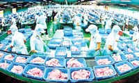 Renforcer le contrôle sur les poissons Tra du Vietnam exportés aux Etats-Unis