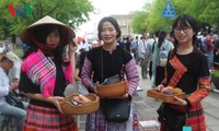 Ouverture de la fête vietnamienne à Kanagawa (Japon)