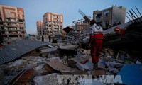 Le séisme Iran-Irak a fait plus de 530 morts