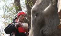 Les éléphants chez les M’Nong