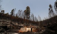 Lourd bilan pour la canicule en Europe, incendie menaçant au Portugal