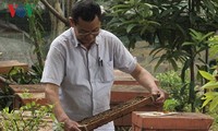 Hô Van Sâm,  un apiculteur passionné à Son La