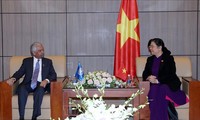 Un coordinateur résident de l’ONU au Vietnam reçu par Tong Thi Phong