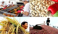 Vietnam : vers une exportation durable de produits agricoles