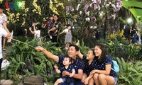 Plus d’un million de visiteurs à la Fête des fleurs du printemps de Hô Chi Minh-Ville