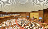 L’Assemblée nationale approuve le bilan 2017 et les programmes législatifs de 2019-2020