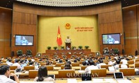 Assemblée nationale: le projet d’aéroport de Long Thành en débat