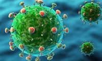Le Danemark annonce un premier cas de contamination au coronavirus