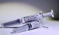 Un vaccin contre le coronavirus d’ici la fin de l’année en Europe ?