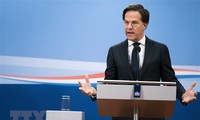 Les Pays-Bas s'approchent d'un accord de gouvernement, sous Mark Rutte