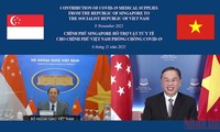 Vietnam-Singapour : 14e consultation politique  