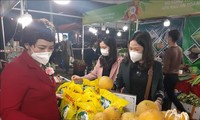 Hanoï: Ouverture de la Semaine des produits OCOP et agricoles