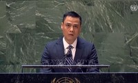 Le Vietnam souhaite que les différends internationaux soient réglés par des moyens pacifiques