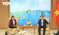 L’ambassadrice d’Égypte reçue par Pham Minh Chinh