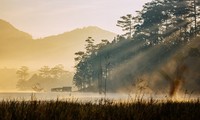Vẻ đẹp hồ Tuyền Lâm, Đà Lạt