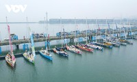 Cận cảnh 11 chiếc thuyền buồm Clipper Race tại Hạ Long